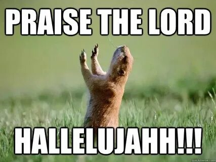 Praise the Lord Funny animal images, Funny animals, Funny an