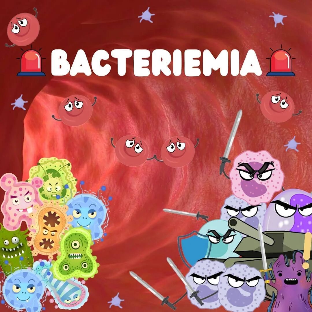 Steam kill bacteria фото 66