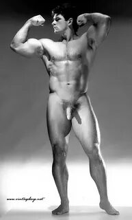 Gay Nude Bodybuilders image #58608