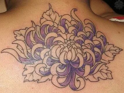 Pin by eye doodle on chrysanthemums Chrysanthemum tattoo, Ta