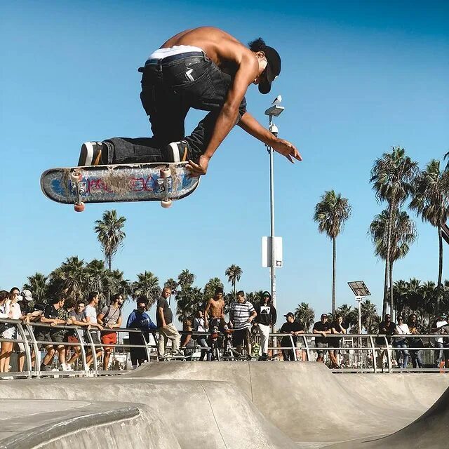Venice Beach Skate Park.
