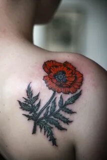 poppy tattoo by alice carrier at anatomy tattoo in portland,