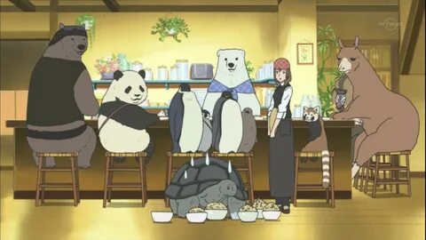 Shirokuma Cafe animekabegami.com