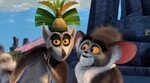 Madagascar/King Julien Themed Birthday Party - Be A Fun Mum