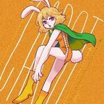 Великолепная Carrot 1 Ван Пис/One Piece RUS Amino