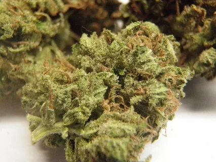 Shiva Skunk Cannabis Strain Information - Straindex