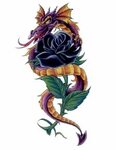 Black Dragon Rose Tattoo Black Rose With Dragon Tattoo Rose 