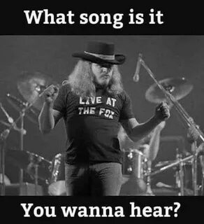 Pin by Angela McKinney on Lunged skynrd Ronnie van zant, Lyn