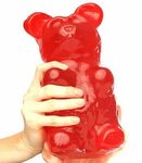 Giant Gummy Bear 26LB Gummy bears, Gummy bear candy, Gummies