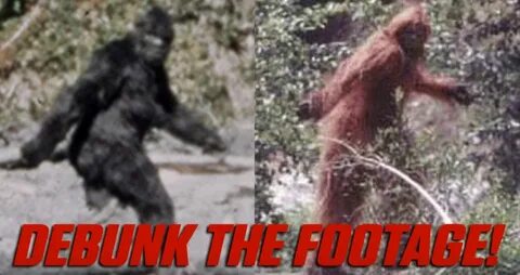 Everything You Need To Know About Bigfoot In One Minute