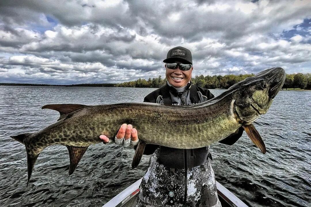 Striker Brands on Instagram: "Musky mania is in full swing and @fish_h...