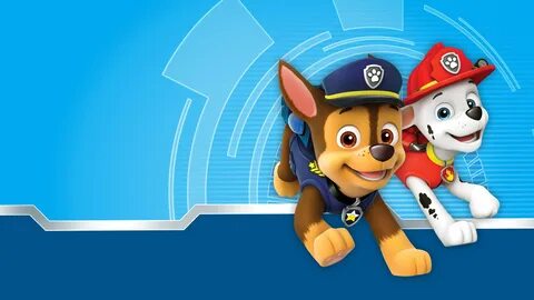 Paw Patrol Zoom Background Related Keywords & Suggestions - 