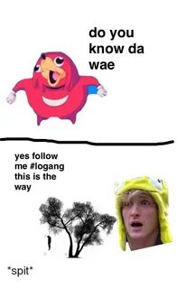 Do You Know Da C Wae Yes Follow Me #Logang This Is the Way S