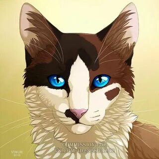 By Vialir on DeviantArt Warrior cats art, Warrior cats, Warr