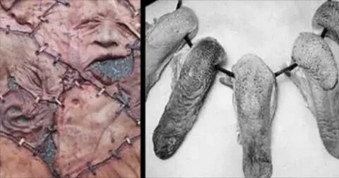 A Farmer Was Secretly Using Human Body Parts To Create Somet
