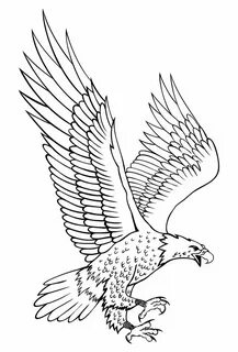 Side Eagle Shot Eagle drawing, Eagle outline, Bird coloring 
