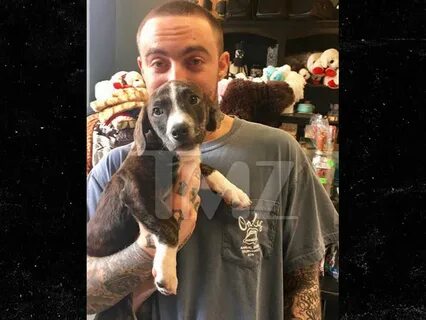 Ariana Grande Has Competition from Mac Miller's New Puppy (P