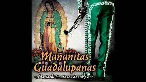 Mariachi Cantares De Mexico - Mi Virgen Bella - YouTube Musi