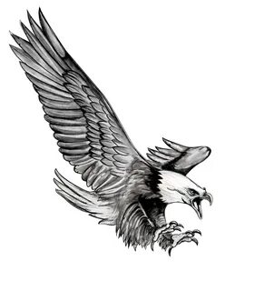 Eagle Tattoo Designs, 30 Best Eagle Tattoo Design Ideas And 