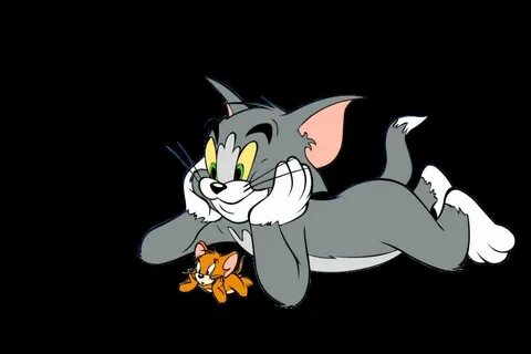 Are you Tom or Jerry?