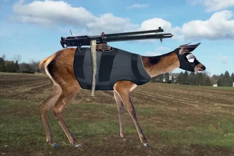 Weaponized Deer Memes - Imgflip