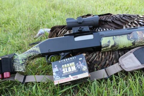 The best turkey shotgun setup for turkey hunting this spring