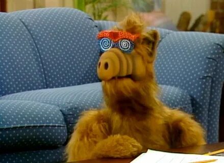 Alf, Alf tv series, Sci fi comedy