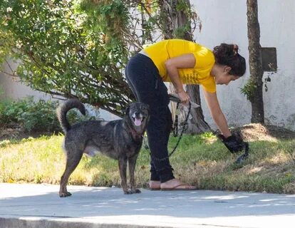 Cristina Rodlo Takes her pup for a walk in Loz Feliz - Celeb