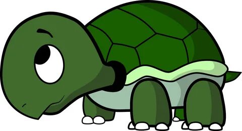 Tortoise Shell Cartoon Related Keywords & Suggestions - Tort