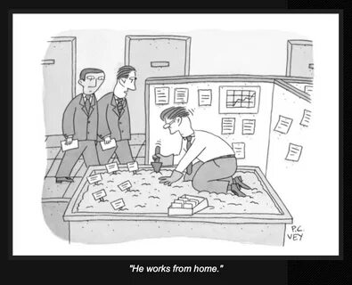 My Best New Yorker Cartoon Caption Contest Entries of 2015.