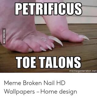 🐣 25+ Best Memes About Broken Nail Broken Nail Memes