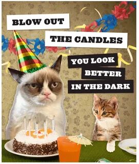 Happy 2nd birthday, Grumpy Cat! Grumpy cat birthday, Birthda