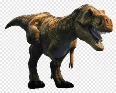 Brown and orange T-rex illustration, Triceratops Dracorex Eu