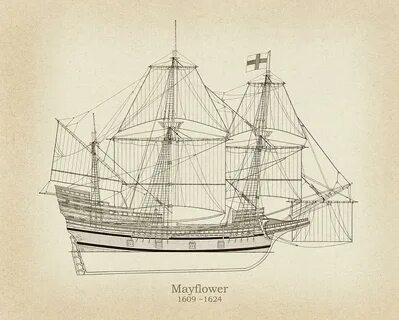 Mayflower ship plans Drawing by StockPhotosArt Com Fine Art 
