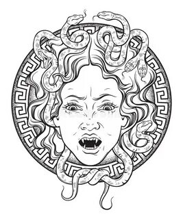 Medusa Gorgon Golden Head on a Shield Hand Drawn Line Art Pr