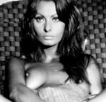 Sophia Loren Nude Photo Collection - Fappenist