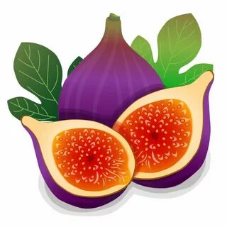 Premium Vector Fig vector illustration Ilustración de fruta,