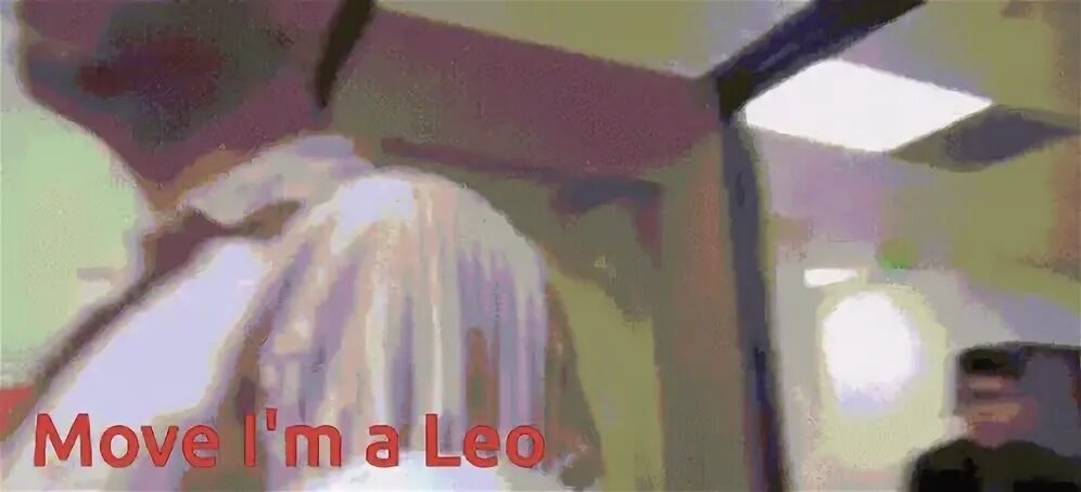 Move Leo GIF - Move Leo Work - Discover & Share GIFs