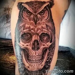 Фото тату сова с черепом 15.10.2018 № 003 - owl tattoo with 