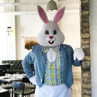 Free photo: Easter Bunny - Easter, Festival, Object - Free D