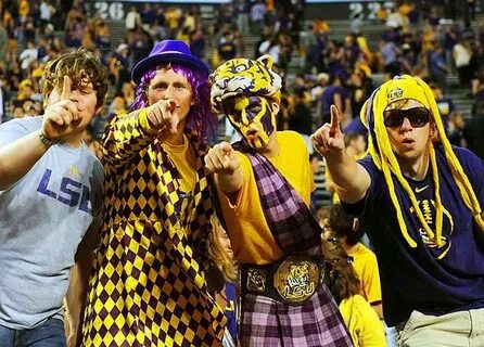 Fans are crazy! Lsu tigers football, College game days, Lsu 