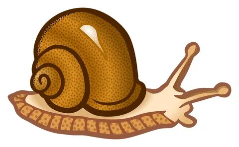 Slug Clipart