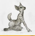 Drawn hyena fursona - Pencil and in color drawn hyena furson