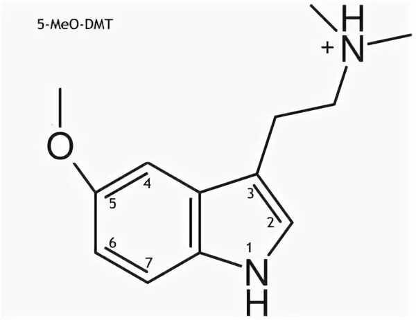 Псилоцибин, псилоцин, буфотенин, 5-MeO-DMT. Селеноцистеин, с