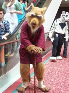 Master Splinter by Cute-Eve on deviantART Splinter costume, Master splinter, Tee