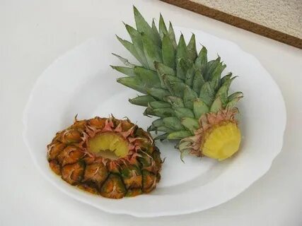 How to Grow a Pineapple Top Growing pineapple from top, Grow