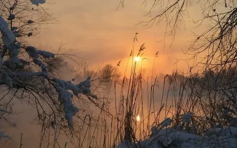 HD *** Sunset Over The Winter Forest *** Wallpaper Download 