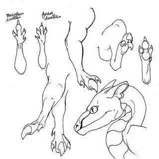 26 Best Images About How To Draw Dragon Feet And Dragon Arms