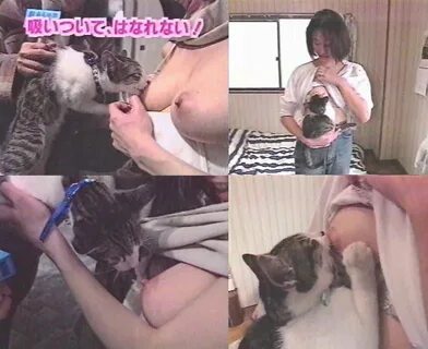 Animal licking woman's boobs