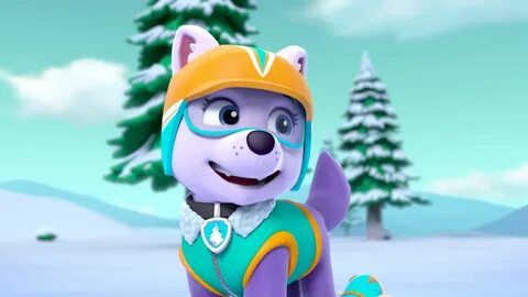 Paw Patrol Everest Wallpapers - Wallpaper Cave
